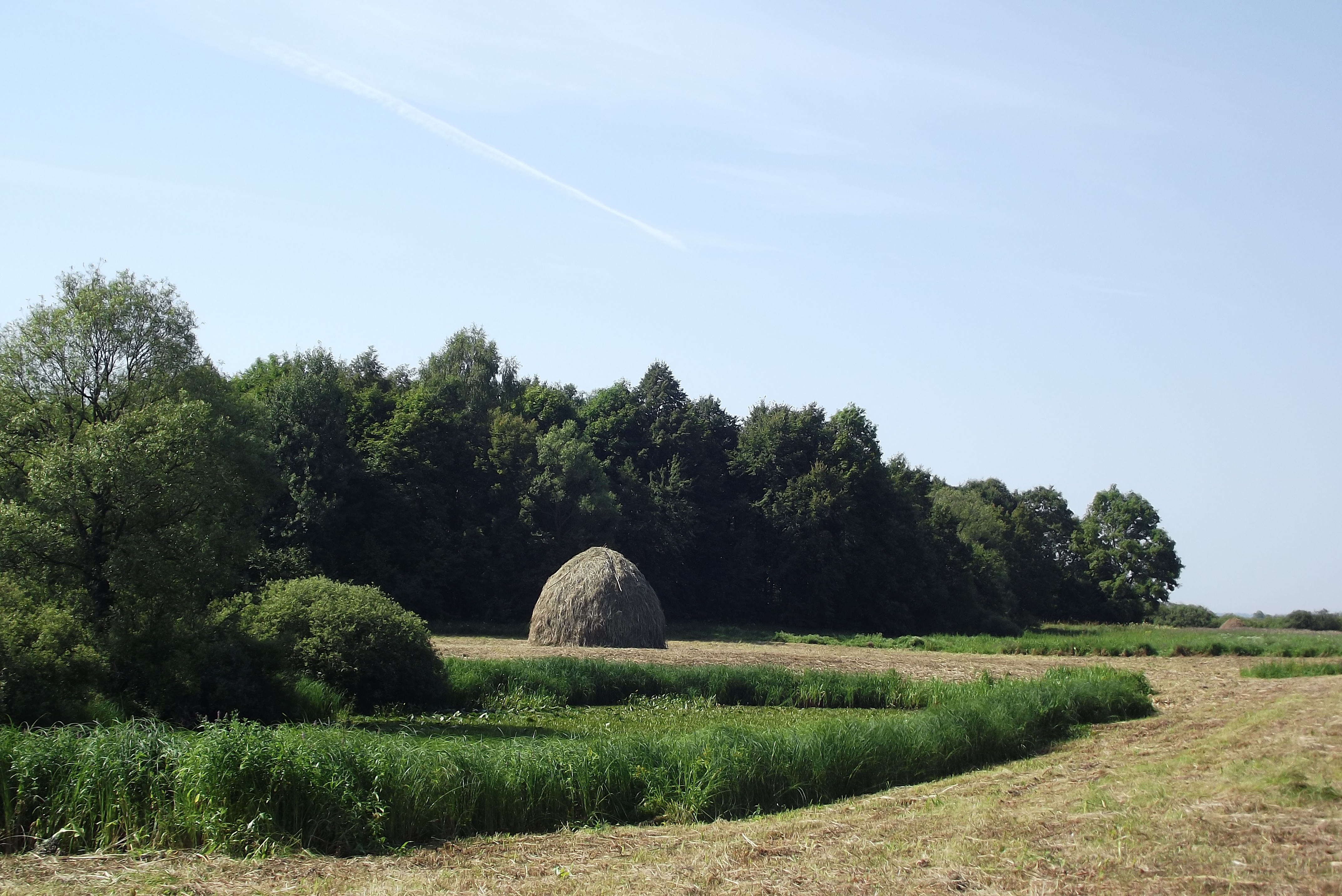 Desna River Floodplain